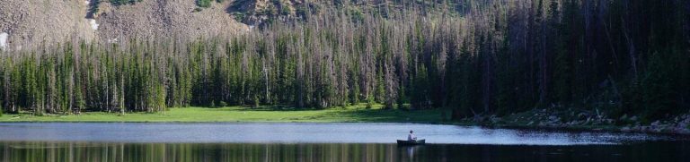 MOOSEHORN