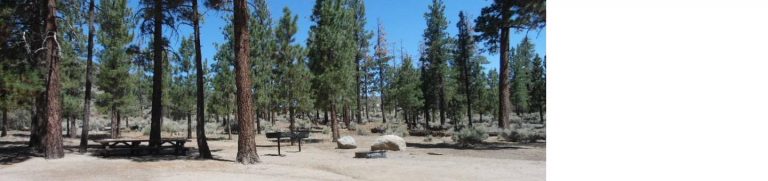 Big Pine Equestrian Group Campground