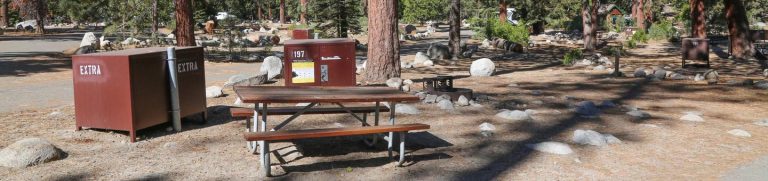 Lodgepole Campground-Sequoia and Kings Canyon National Park