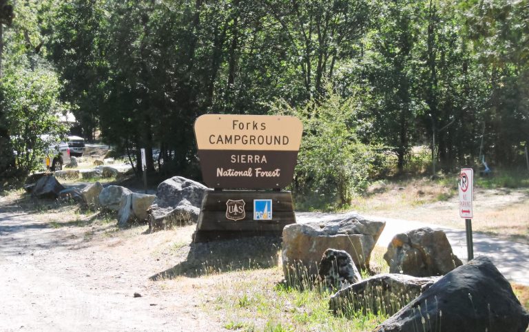 FORKS CAMPGROUND