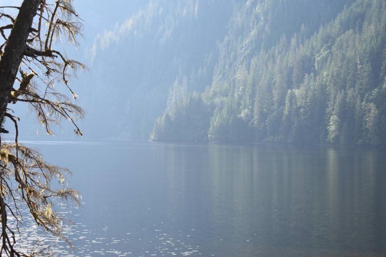 HUMPBACK LAKE CABIN