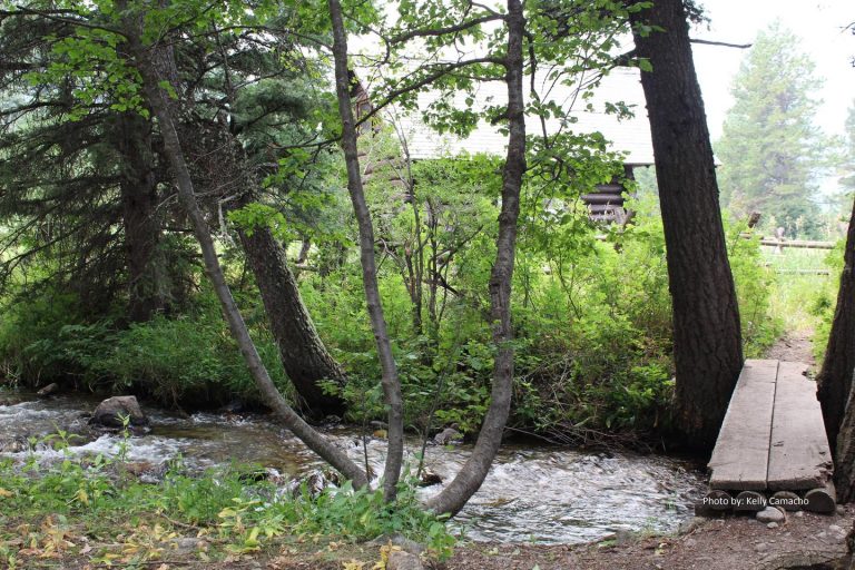 SPANISH CREEK CABIN