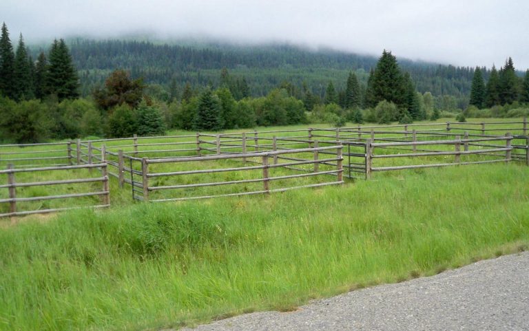 UPPER FORD CABIN RENTAL