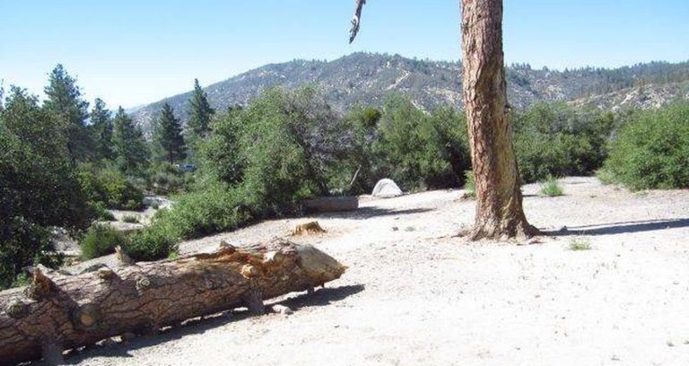 COULTER GROUP CAMPGROUND
