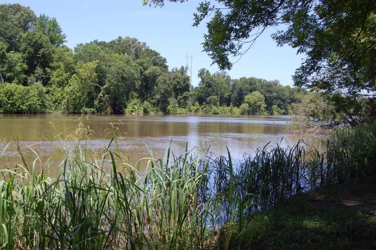 WHITE CLIFFS PARK